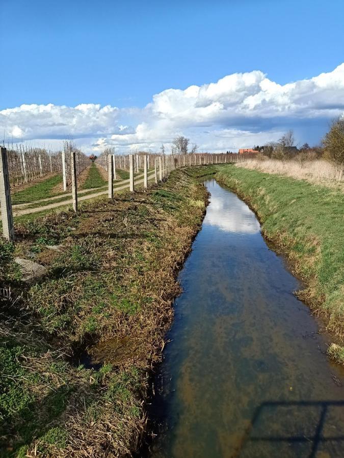 Ostoja Czersk Zamek Gora Kalwaria Lägenhet Exteriör bild